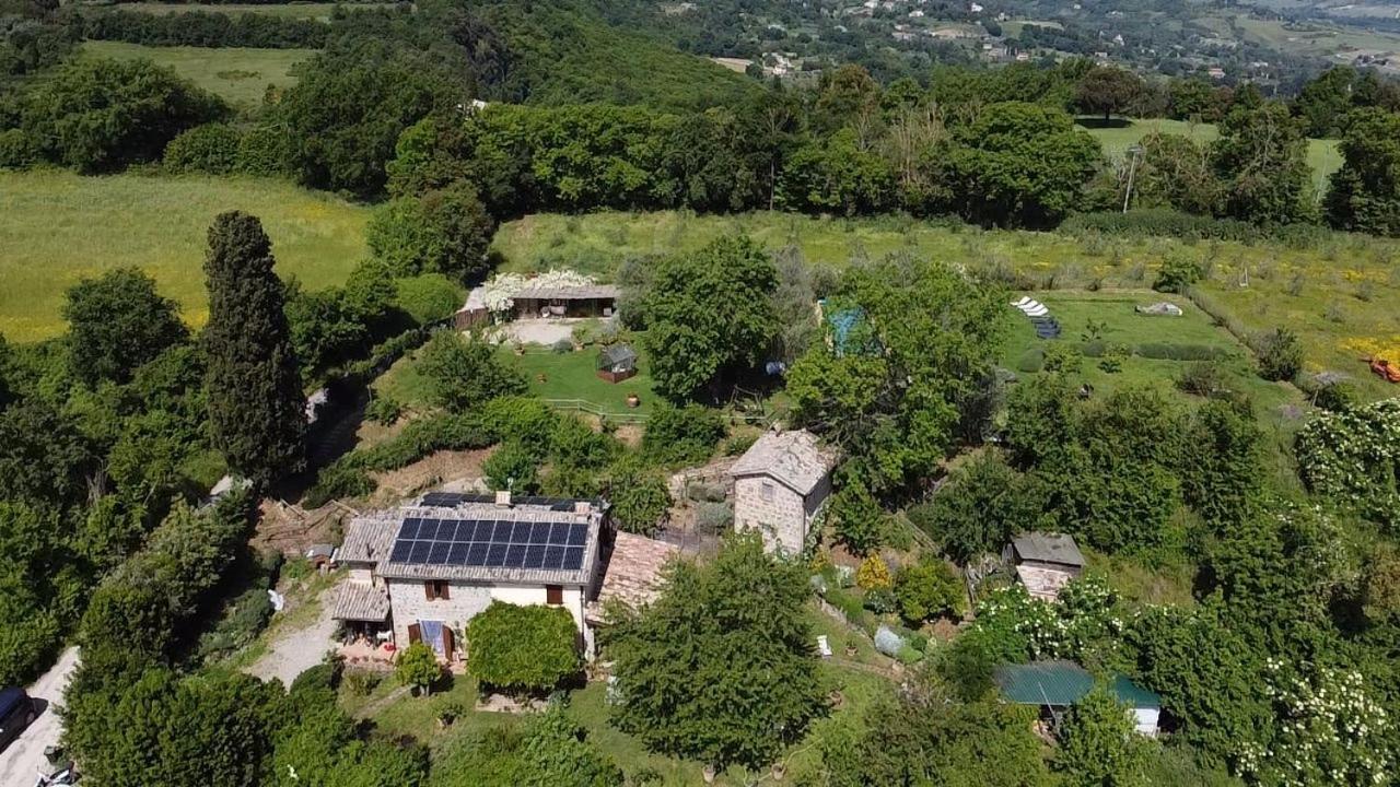 Agriturismo La Cervaiola Piccola Dimora Di Campagna Porano Exterior photo